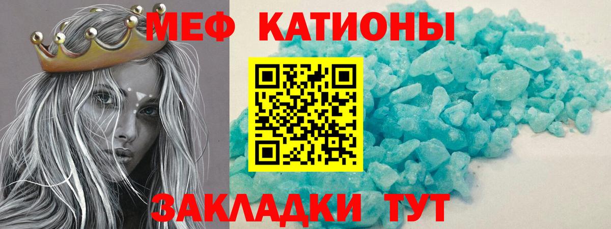 МЕФ  Дмитров