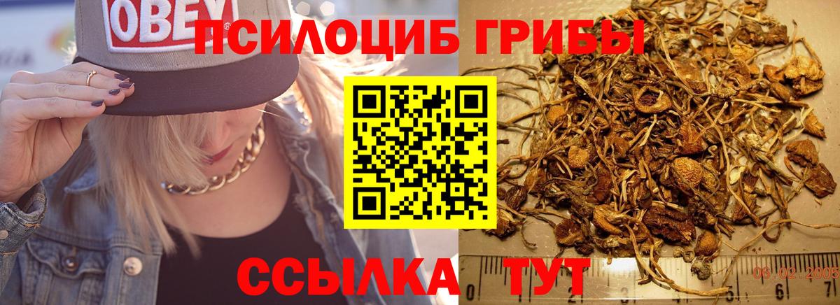 Псилоцибиновые грибы Magic Shrooms  Вход с VPN  Дмитров  Галлюциногенные грибы MAGIC MUSHROOMS 