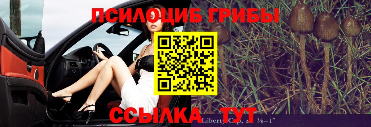 Псилоцибиновые грибы ЛСД Дмитров